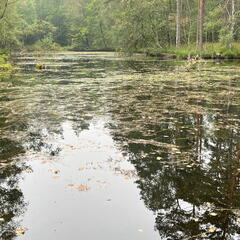 23-09-10 09-47-59 6588